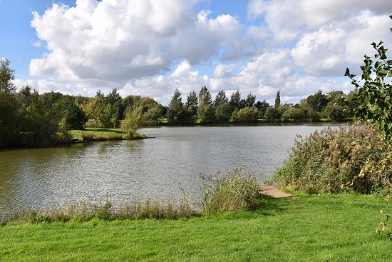 Békésszentandrás horgászat